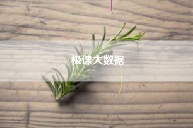 极课大数据 极课大数据