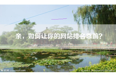 亲，如何让你的网站排名靠前？