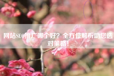 网站SEO推广哪个好？全方位解析助您选对策略！