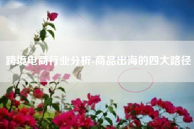 跨境电商行业分析-商品出海的四大路径