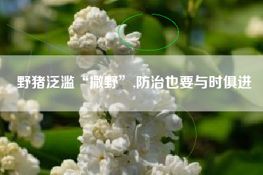 野猪泛滥“撒野”,防治也要与时俱进