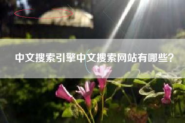 中文搜索引擎中文搜索网站有哪些？
