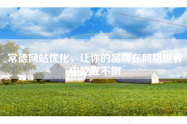常德网站优化，让你的品牌在网络世界中屹立不倒