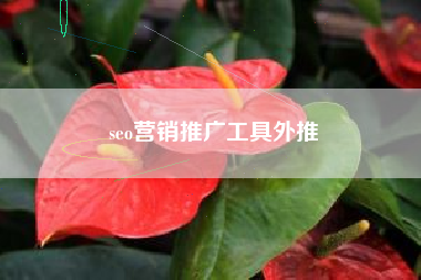 seo营销推广工具外推
