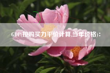 GDP(按购买力平价计算,当年价格)：