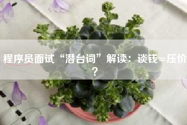 程序员面试“潜台词”解读：谈钱=压价？