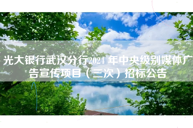 光大银行武汉分行2024 年中央级别媒体广告宣传项目（三次）招标公告