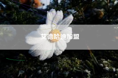 艾德哈迪加盟
