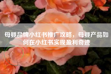 母婴品牌小红书推广攻略，母婴产品如何在小红书实现盈利奇迹