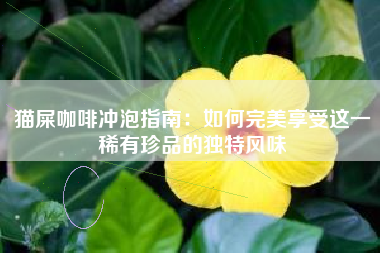 猫屎咖啡冲泡指南：如何完美享受这一稀有珍品的独特风味