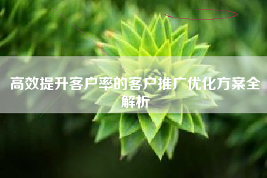高效提升客户率的客户推广优化方案全解析