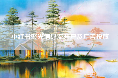 小红书聚光信息流开户及广告投放