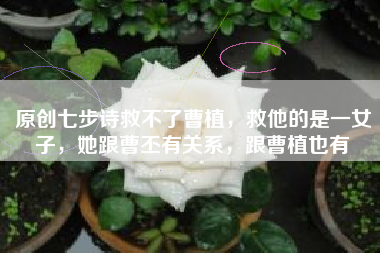 原创七步诗救不了曹植，救他的是一女子，她跟曹丕有关系，跟曹植也有