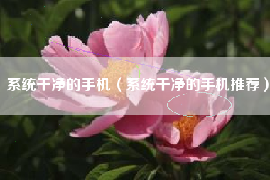 系统干净的手机（系统干净的手机推荐）