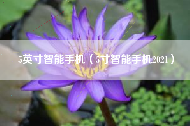 5英寸智能手机（5寸智能手机2021）