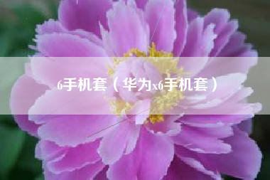 6手机套（华为x6手机套）