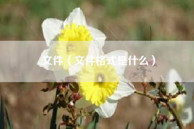 文件（文件格式是什么）