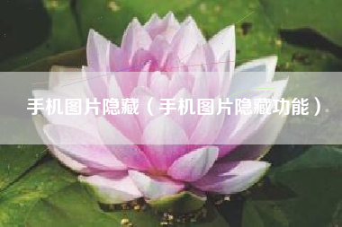 手机图片隐藏（手机图片隐藏功能）