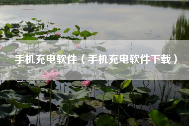 手机充电软件（手机充电软件下载）