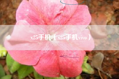 x25手机（x25手机vivo）