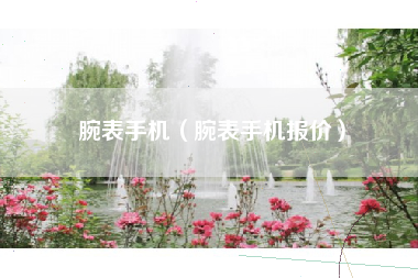 腕表手机（腕表手机报价）