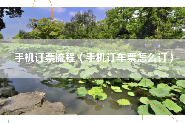手机订票流程（手机订车票怎么订）