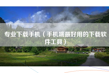 专业下载手机（手机端最好用的下载软件工具）
