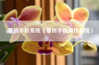 塞班手机系统（塞班手机操作系统）