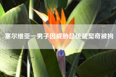塞尔维亚一男子因威胁总统武契奇被拘 塞尔维亚一男子因威胁总统武契奇被拘