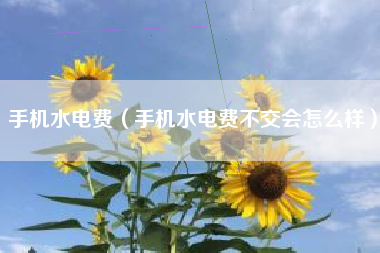 手机水电费（手机水电费不交会怎么样）