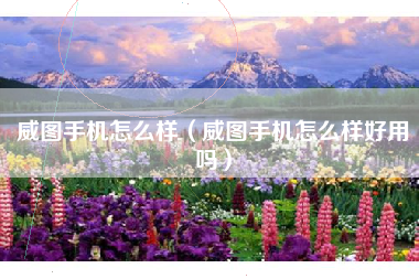 威图手机怎么样（威图手机怎么样好用吗）