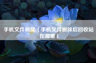 手机文件删除（手机文件删除后回收站在哪里）