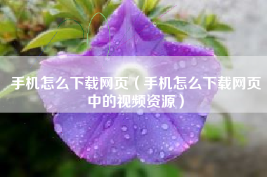 手机怎么下载网页（手机怎么下载网页中的视频资源）
