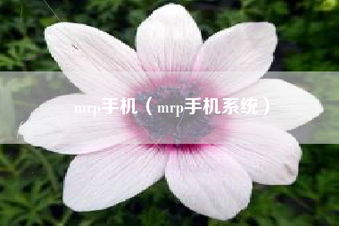 mrp手机（mrp手机系统）