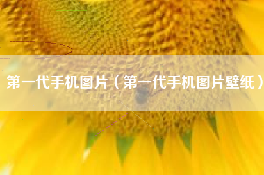 第一代手机图片（第一代手机图片壁纸）