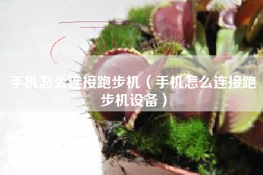 手机怎么连接跑步机（手机怎么连接跑步机设备）
