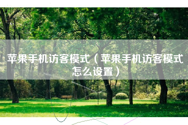 苹果手机访客模式（苹果手机访客模式怎么设置）
