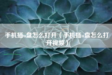 手机插u盘怎么打开（手机插u盘怎么打开视频）