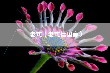 老式（老式德国音）