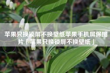 苹果只换锁屏不换壁纸苹果手机屏保图片「苹果只换锁屏不换壁纸」 苹果只换锁屏不换壁纸苹果手机屏保图片「苹果只换锁屏不换壁纸」
