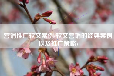 营销推广软文案例(软文营销的经典案例以及推广策略)