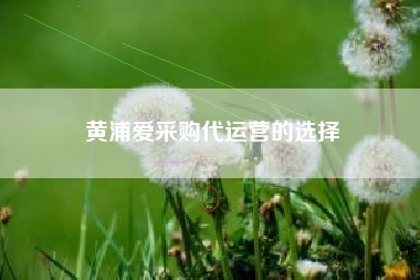 黄浦爱采购代运营的选择